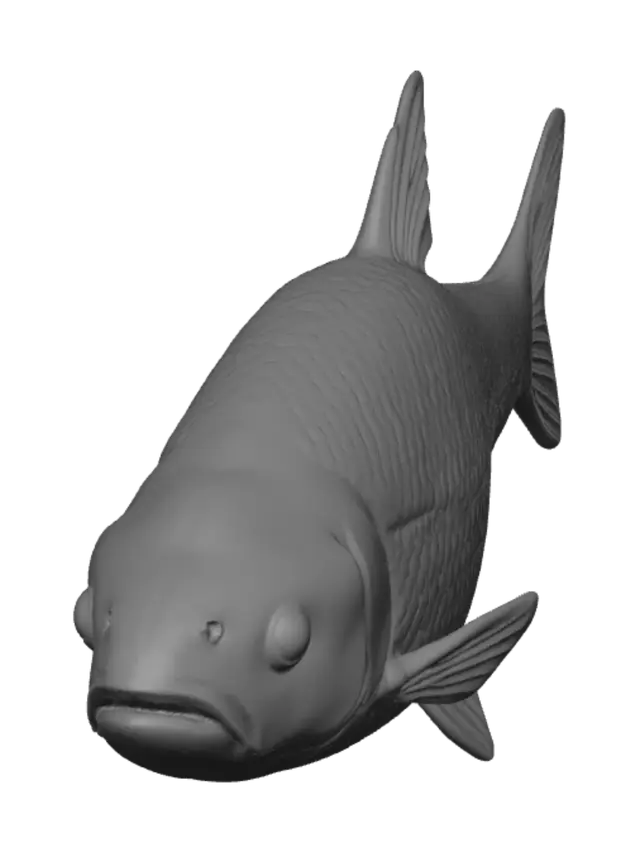 3D model for Monochrome Carp