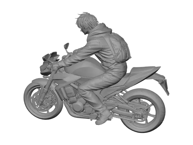 3D model for Midnight Rain Rider