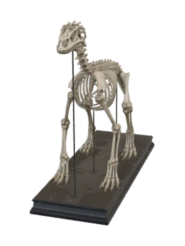 Dinosaur Skeleton on Display - Conservative-3D-modell, genererad av AI