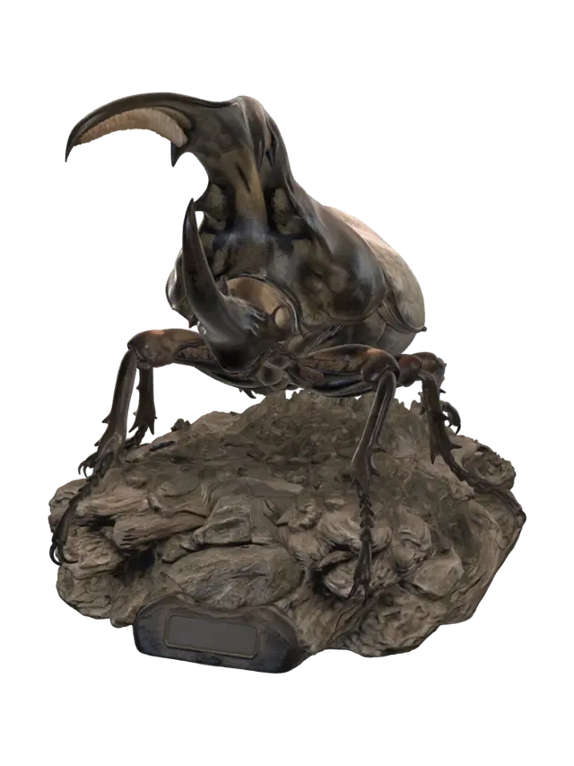 3D model for 