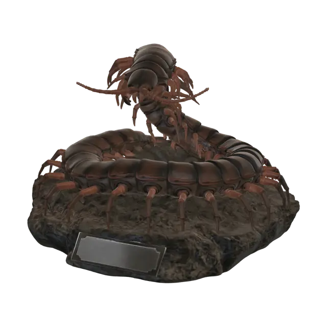 3D model for 
