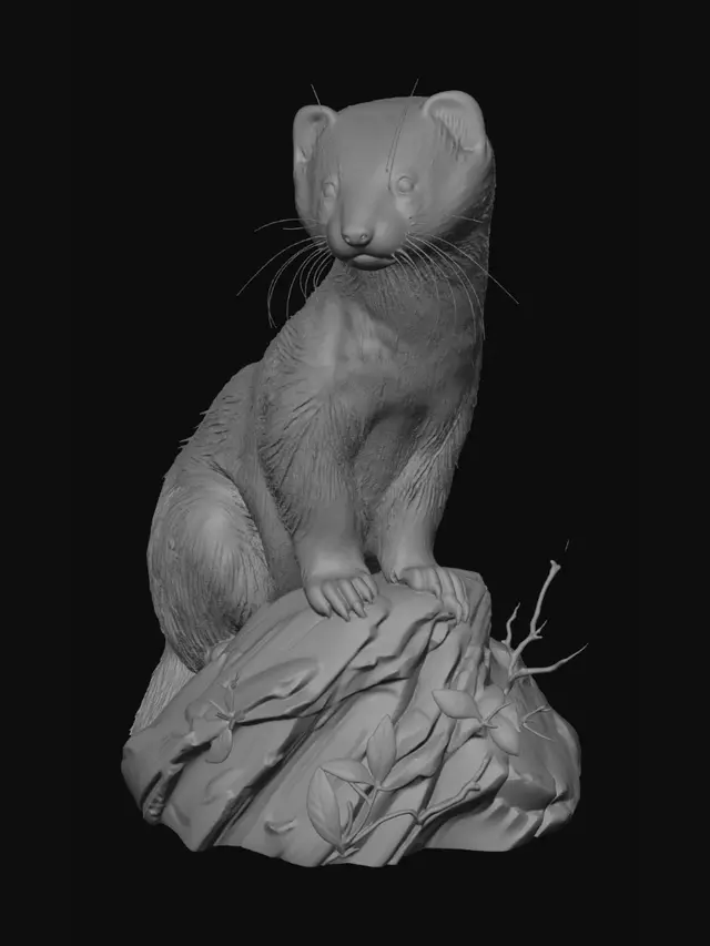 3D model for Curious Ferret on a Rock