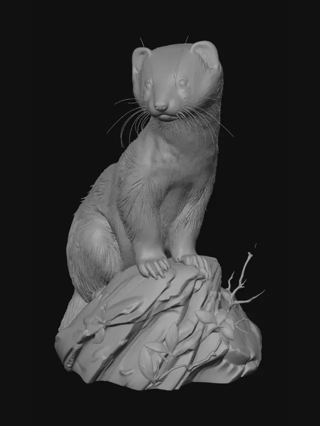 3D model for Curious Ferret on a Rock