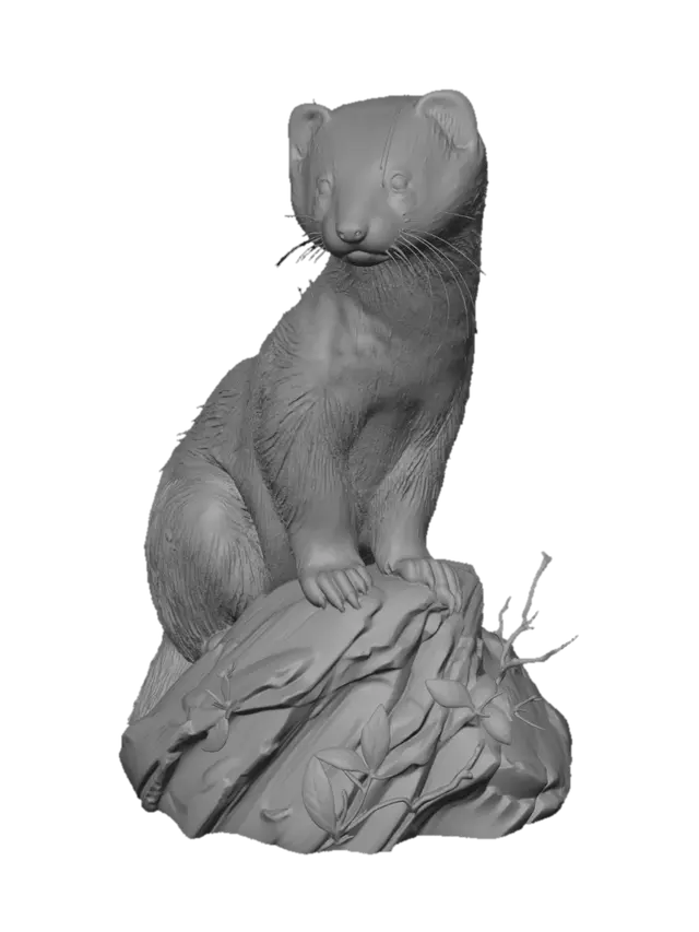 3D model for Curious Ferret on a Rock