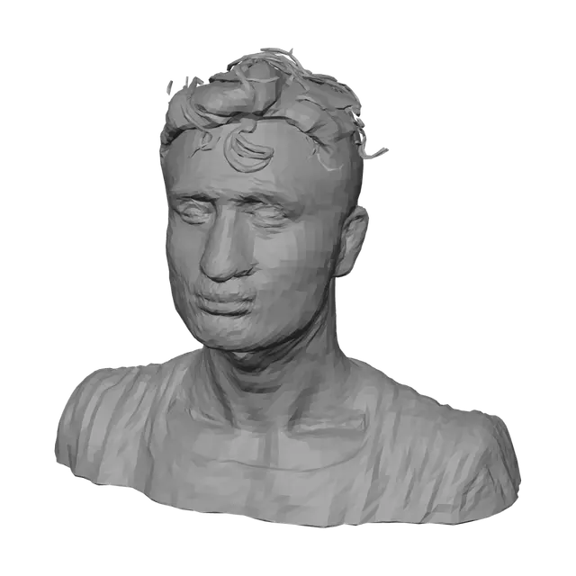 3D model for Top Half Portrait of a Man with Messy Hair