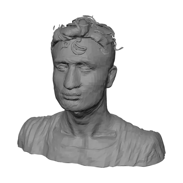 3D model for Top Half Portrait of a Man with Messy Hair