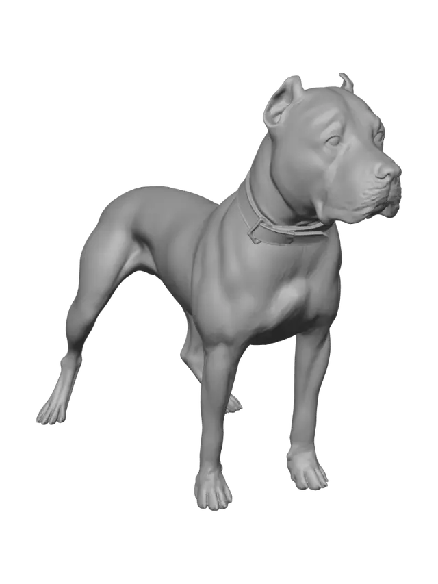 3D model for Sunlit Stance
