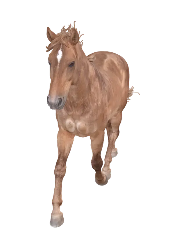 Horse Trotting - Smooth 3D model, vytvořený pomocí AI
