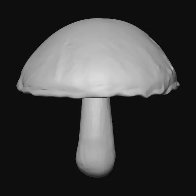 3D model for White Button Mushroom