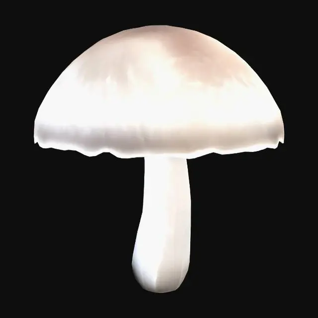 3D model for White Button Mushroom