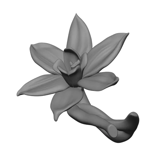 3D model for Vanilla Orchid Bloom