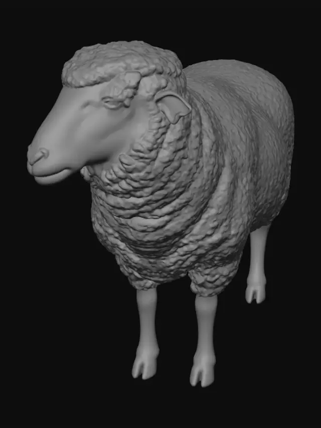 3D model for Curious Sheep in the Field