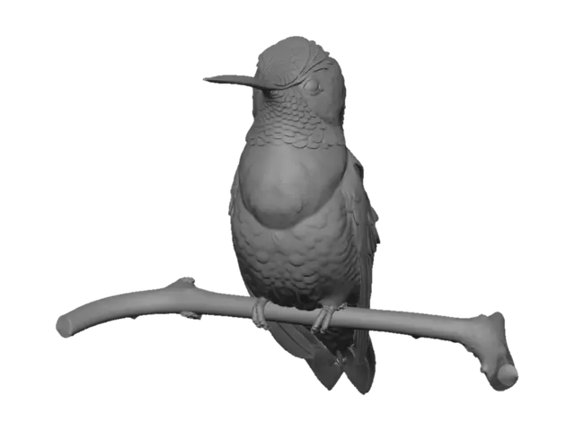 3D model for Emerald Hummingbird with Pink Gorget