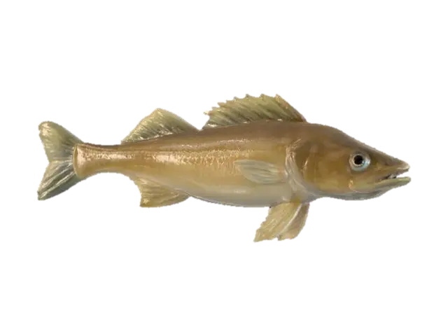 Perch Display 3D model, vytvořený pomocí AI