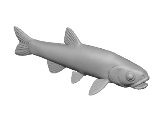 3D model for Minnow Majesty