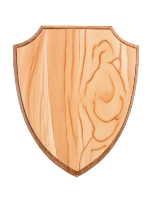 3D model for Wooden Shield Plaque