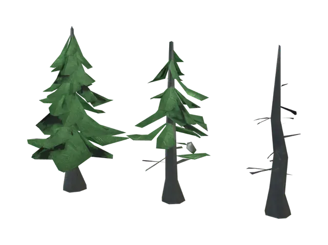 3D model for Life Cycle of a Pine Tree