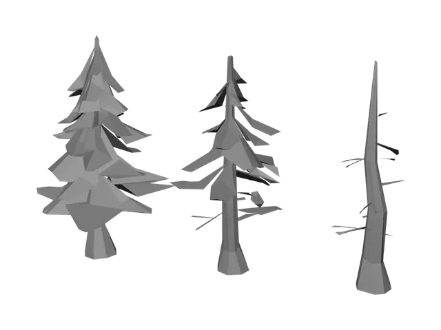 3D model for Life Cycle of a Pine Tree