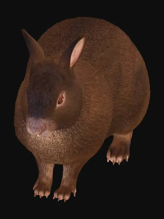 3D model for Midnight Street Rodent
