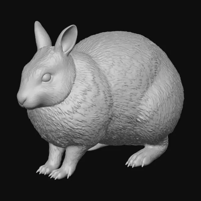 3D model for Midnight Street Rodent