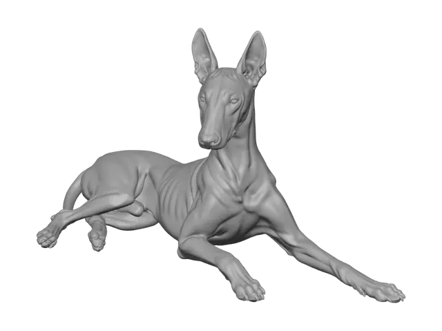 3D model for Sunlit Pharaoh Hound