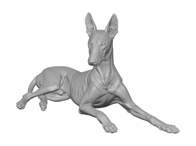 3D model for Sunlit Pharaoh Hound
