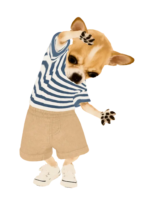 3D model for Tiny Trendsetter Chihuahua