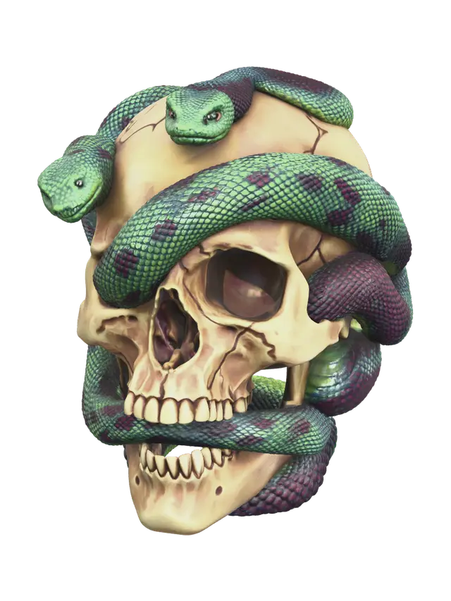 3D model for Realistic Snake Skull