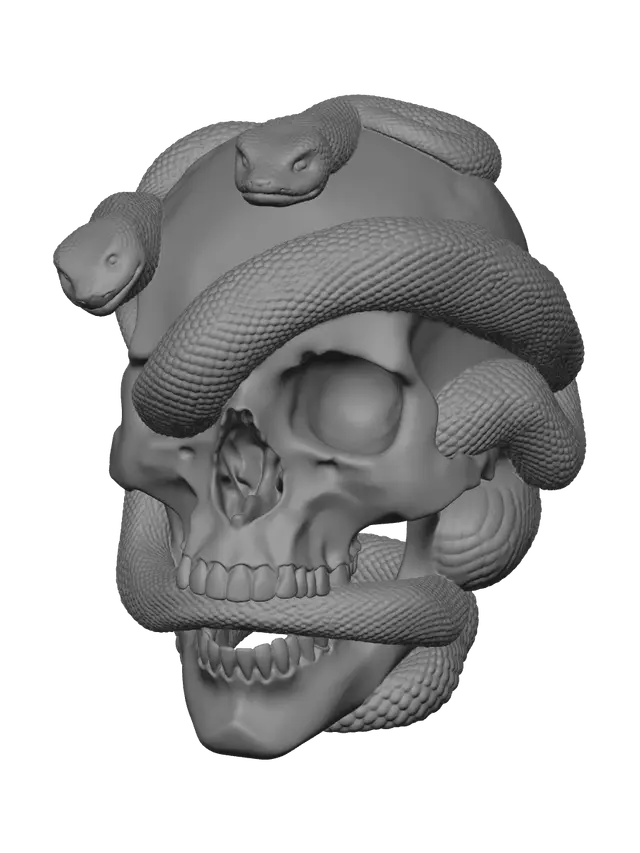3D model for Realistic Snake Skull