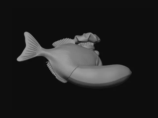 3D model for A high-quality 3D render of a surreal fish fused with a ripe yellow banana, wearing a tiny italian chef hat, goofy eyes, brainrot meme aesthetic, vibrant colors, white background, studio lighting, 8k.