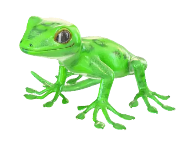 3D model for Gecko Gaze