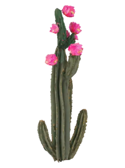 desert cactus 3D model, vytvořený pomocí AI