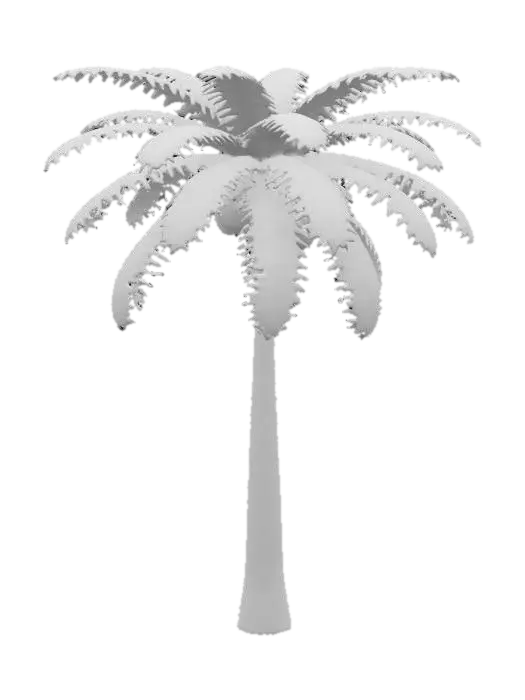 3D model for coconut palm tree