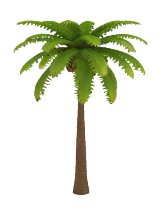 3D model for coconut palm tree