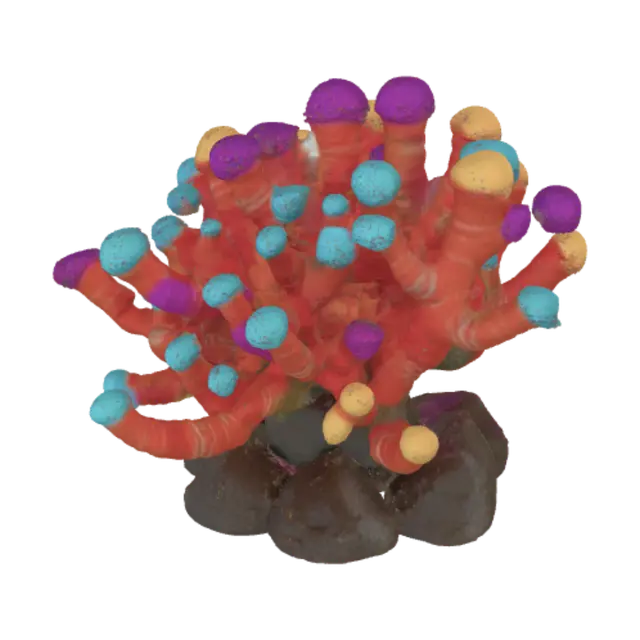 3D model for a colorful coral plant