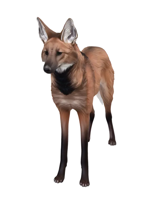 Red Fox in Profile - Manedwolf 3D model, vytvořený pomocí AI
