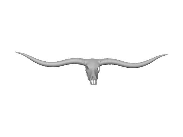 3D model for Ornate Longhorn Skull