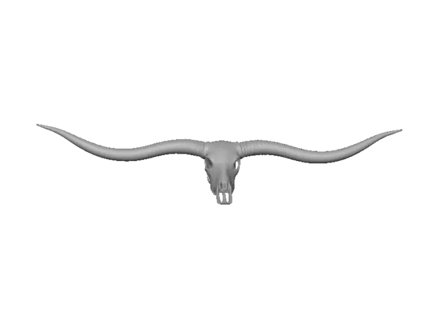 3D model for Ornate Longhorn Skull