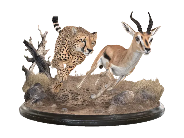 3D model for Dusty Pursuit