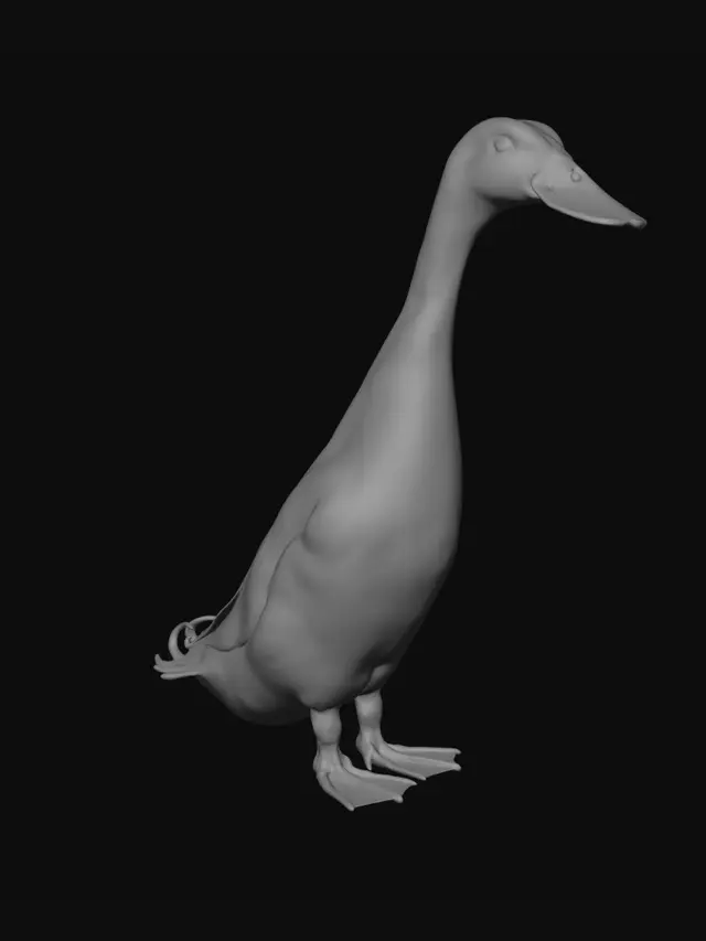 3D model for Mallard by the Pond