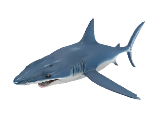 High-detail 3D model of a mako shark. Sleek, bullet-shaped body with deep blue and… 3D model, vytvořený pomocí AI