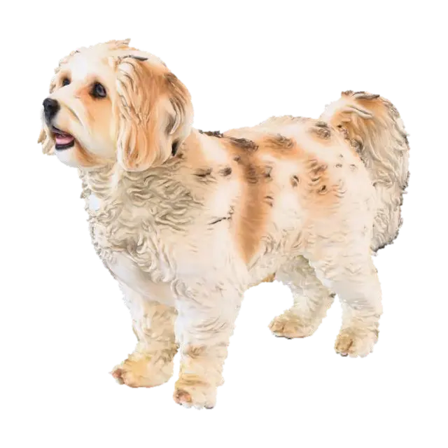 Fluffy Paws 3D model, vytvořený pomocí AI