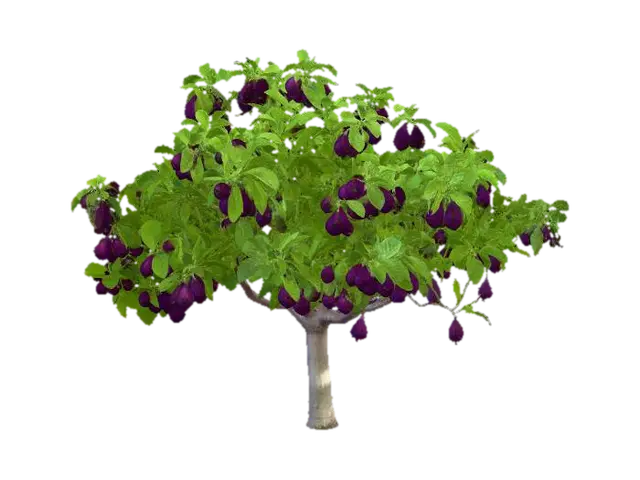 Plum Tree - Palm 3D model, vytvořený pomocí AI