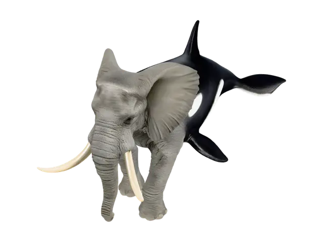 3D model for Orca Elephant Fusion