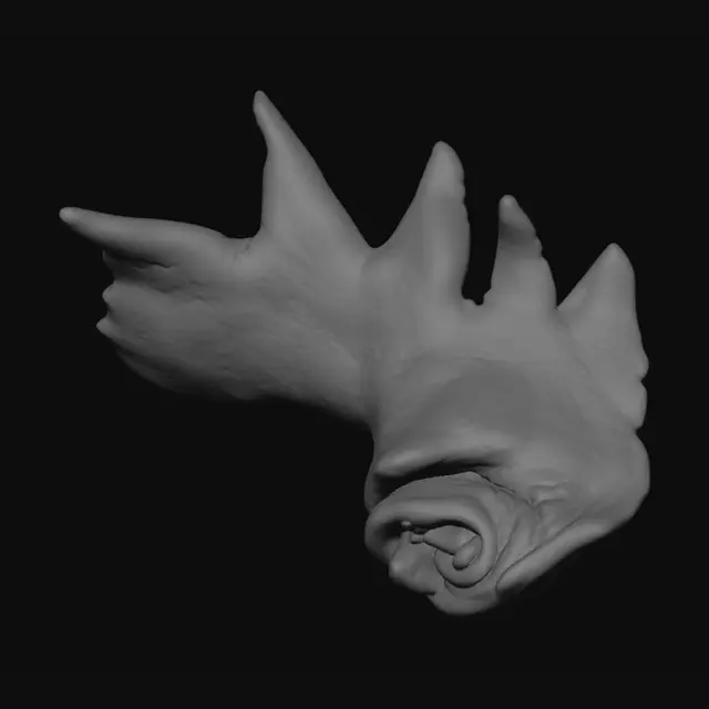 3D model for Crimson Rosebud