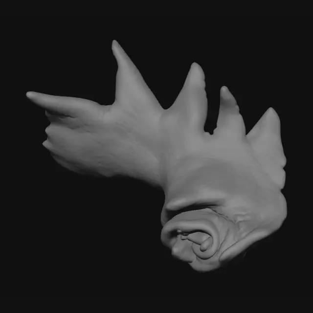 3D model for Crimson Rosebud