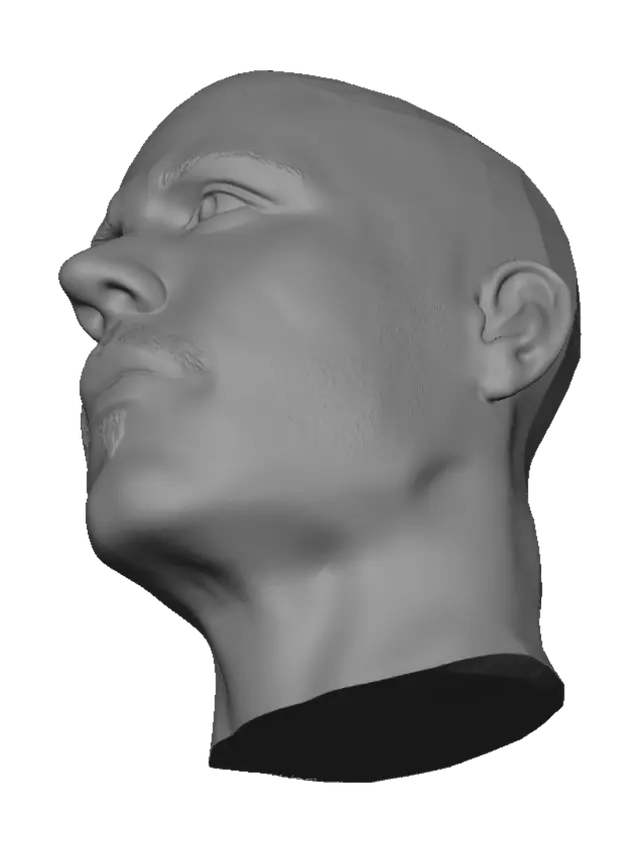 3D model for Bald Portrait