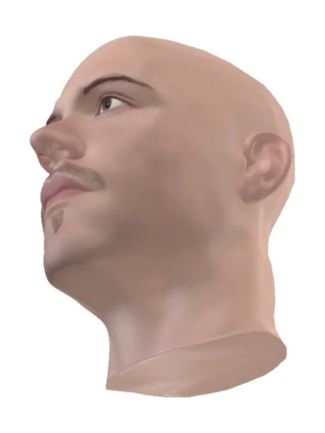 3D model for Bald Portrait
