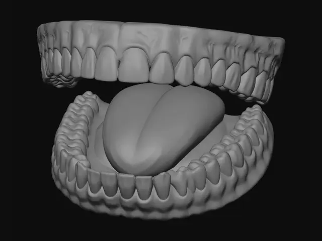 3D model for Tooth 19 Highlighted Lower Molar