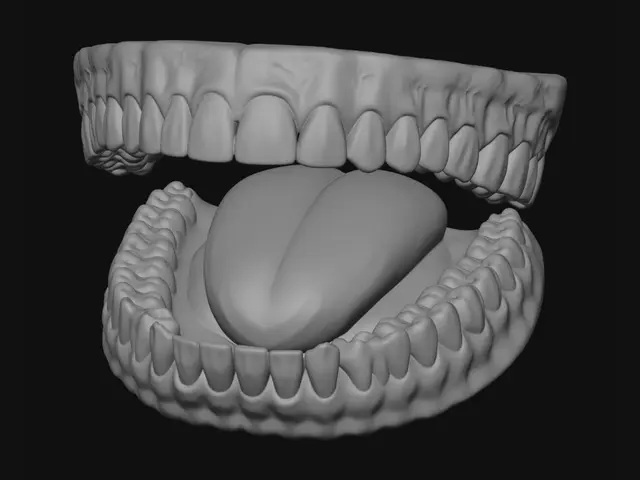 3D model for Tooth 19 Highlighted Lower Molar
